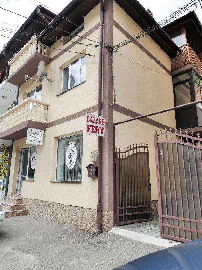 Вилла Casa Fery Бэиле-Еркулане Экстерьер фото